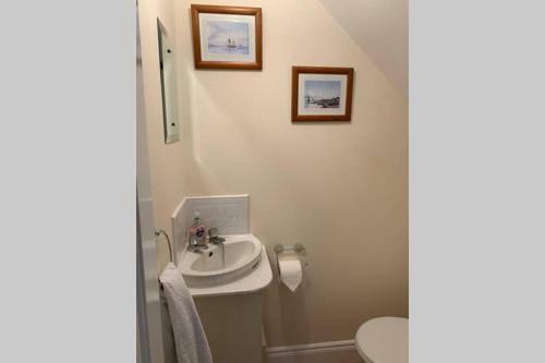 Two Bedroom Town House Beside The River Barrow