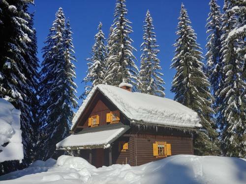 Villa Pokljuka