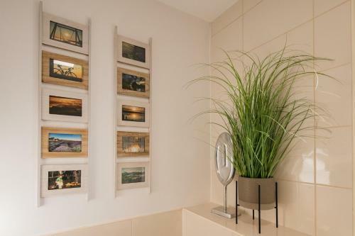 Apartmaji Banonia " Jutranja Zarja "