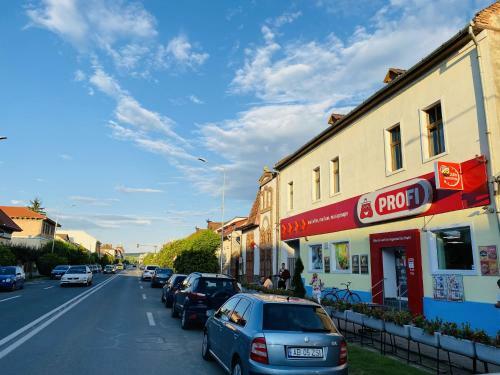 Apartament Central In Blaj Cu Gratar Si Gradina