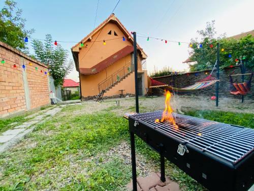 Apartament Central In Blaj Cu Gratar Si Gradina