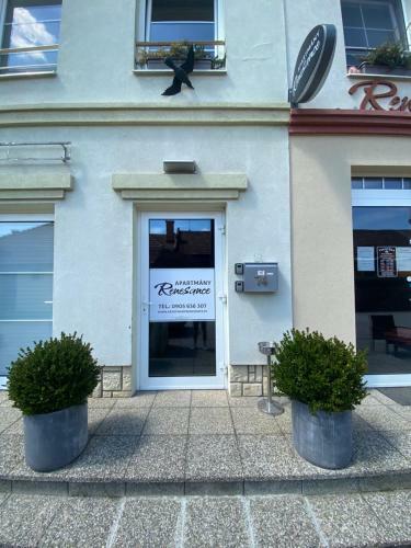 Apartments Renesance