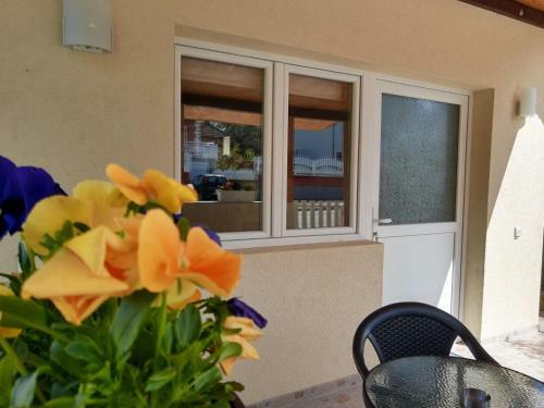 Apartamento Marina