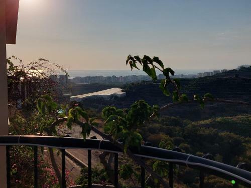 Alanya Goldcity Villa Apartman