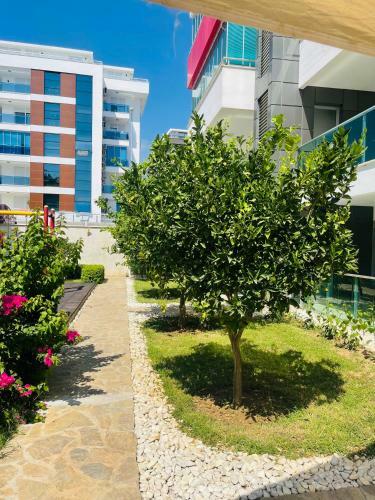 Apartamento Alanya Kleopatra Beach Full Komplex