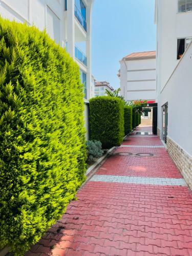 Apartamento Alanya Kleopatra Beach Full Komplex
