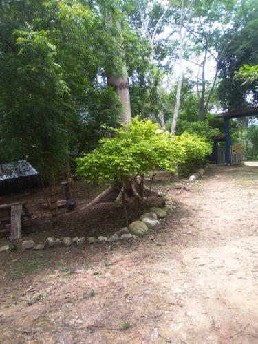 Agroturismo Laureana Hotel Campestre