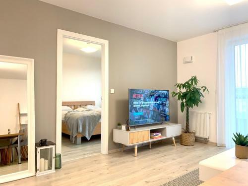 Elegant, Bright Spacious Apartment In Bratislava Center