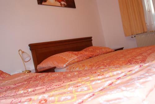 Hostal Apartmaji Pri Kokolu