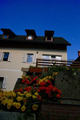 Hostal Apartmaji Pri Kokolu