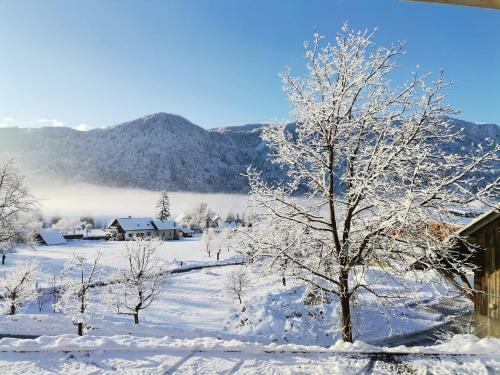 Agroturismo Tourist Farm Mulej