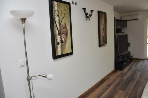 Planika Holiday Home