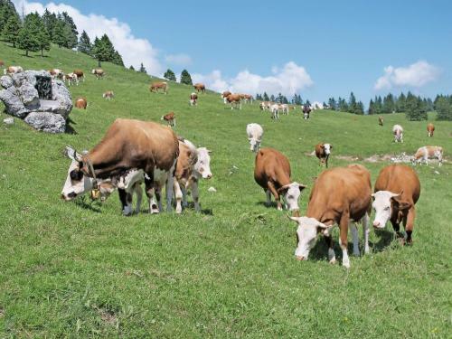 Cottage Above The Clouds