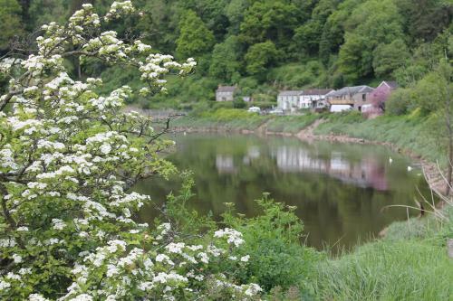 Hostal Wye Valley Hotel