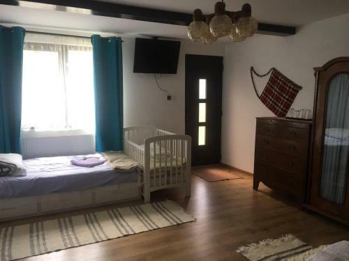 Hostal Pensiunea Casa Firuta Borsa