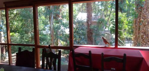 Casa En El Bosque Peralta Ramos Para Vacacionar