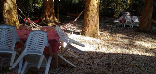 Casa En El Bosque Peralta Ramos Para Vacacionar