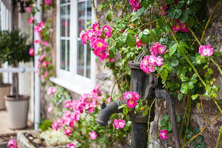 Bed & Breakfast Stoodleigh Court Coach House B & B