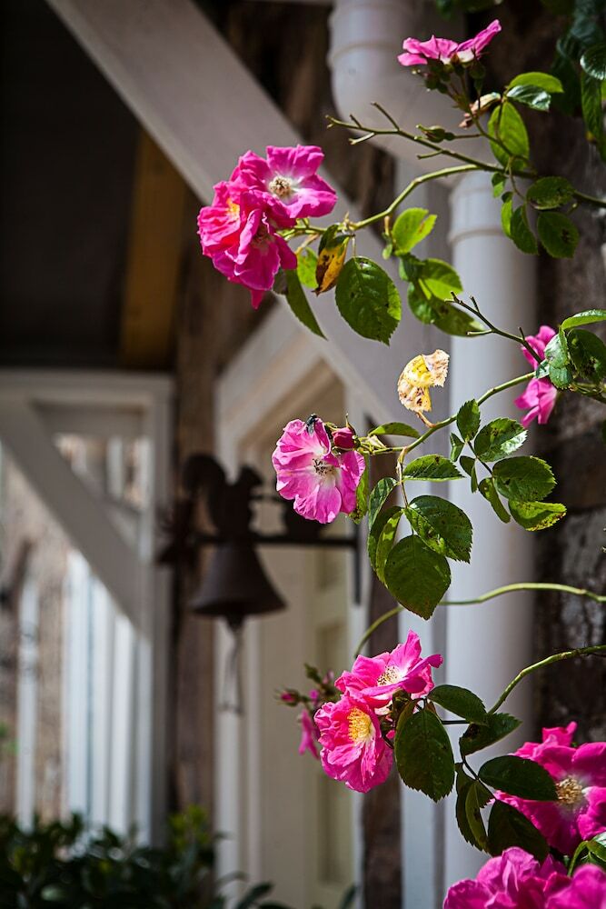 Bed & Breakfast Stoodleigh Court Coach House B & B
