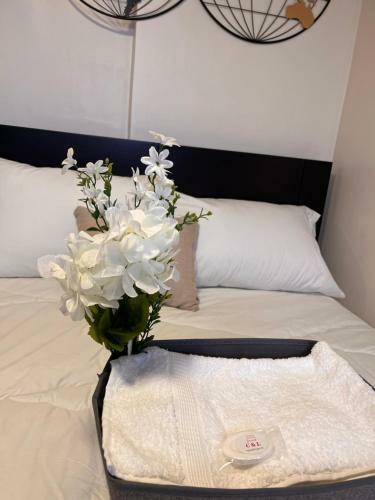 Apartamento Acogedora Mini Suite Con Entrada Independiente