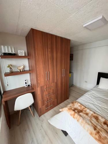 Apartamento Acogedora Mini Suite Con Entrada Independiente