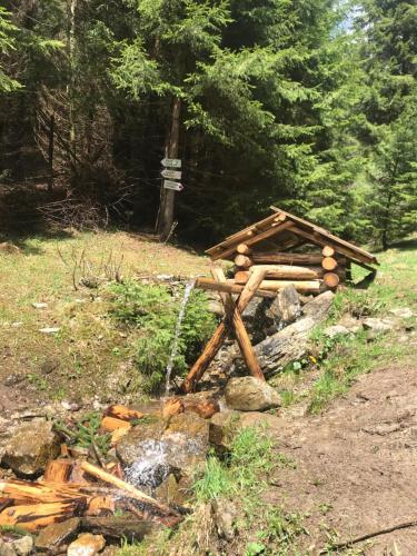 Podkrovn� Apartm�n Donovaly