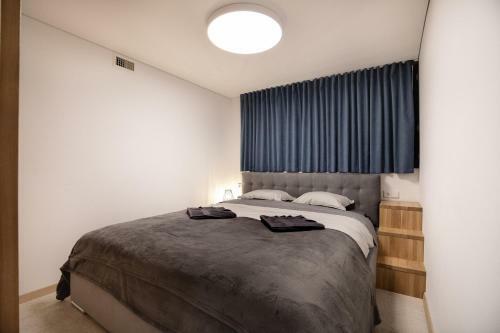 Spacious Luxury Loft Apartament In City Center