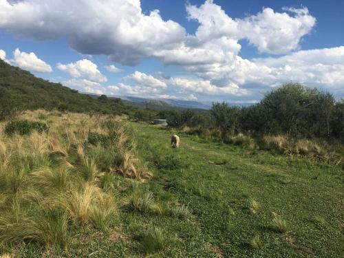 Hen�n- Casa De Campo- Traslasierra