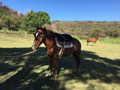 Hen�n- Casa De Campo- Traslasierra