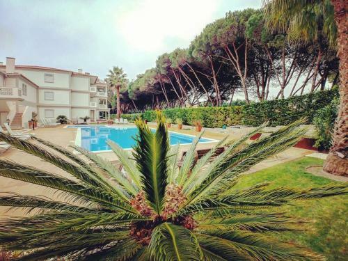 Apartamento Good Vibes