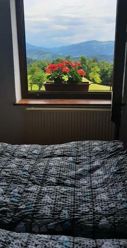 Apartamento Healing Farm