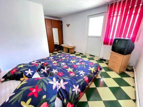 Hostal Pensiunea Ramona