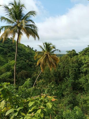 Lodge Finca La Selvita