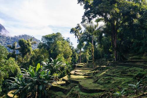 Lodge Finca Cuipo