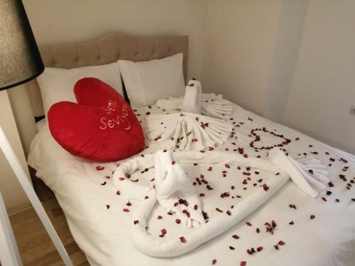 Apartamento Aydo?du Su?t
