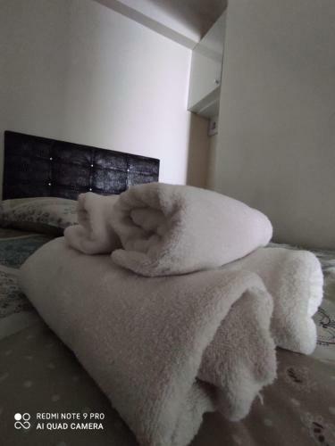 Apartamento Aydo?du Su?t
