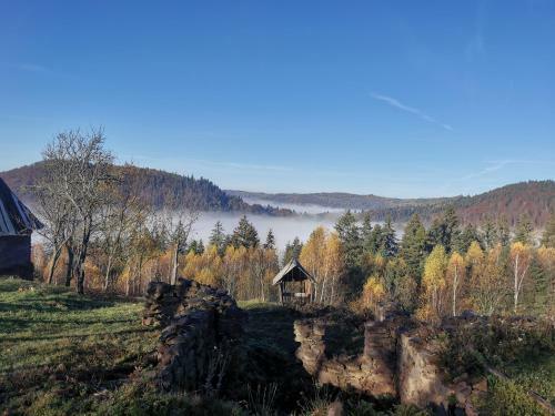 Popas Fefeleaga-camping