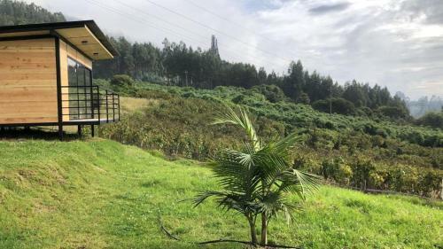 Glamping La Cumbre Nido Del C�ndor
