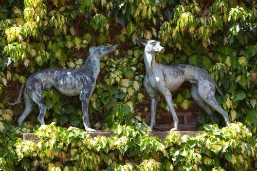 Hotel The Greyhound Coaching Inn