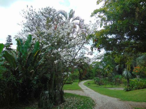 Bed & Breakfast Finca La Colina