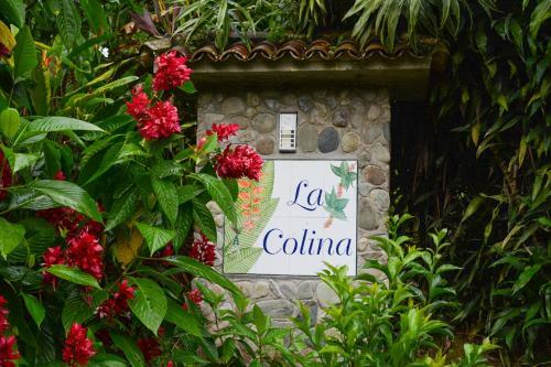Bed & Breakfast Finca La Colina