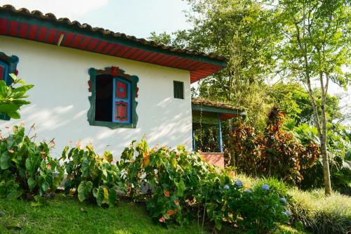 Bed & Breakfast Finca La Colina