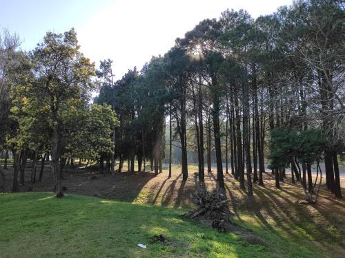 Apartamento Yb� Pit�