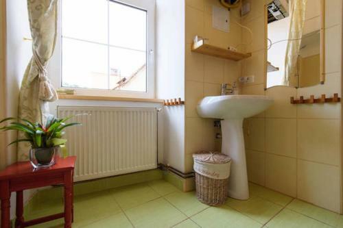 Apartamento Transylvania Residence Brasov