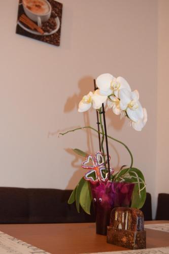 Apartamento Central Appartment St's Martin Church