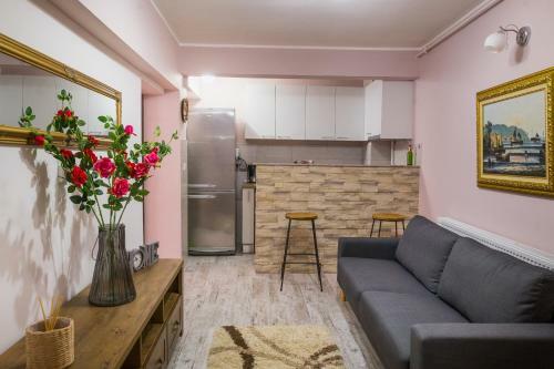 Apartamento Alpin Central Studio