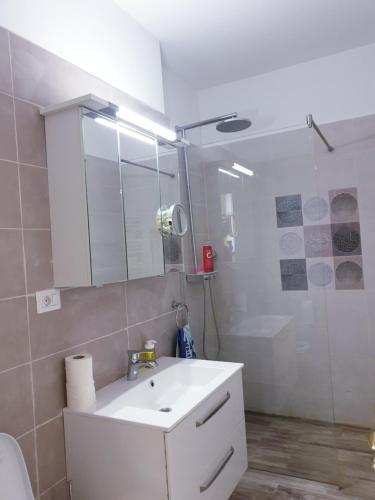 City Center Apartment Brasov 59