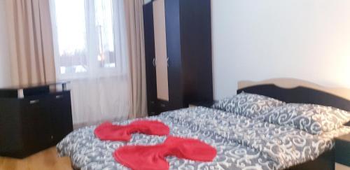 City Center Apartment Brasov 59