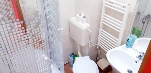 City Center Apartment Brasov 59