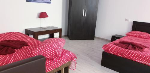City Center Apartment Brasov 59
